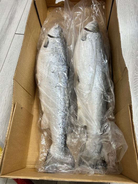 В продаже имеются семга