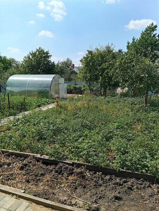 Дача Весна на продажу