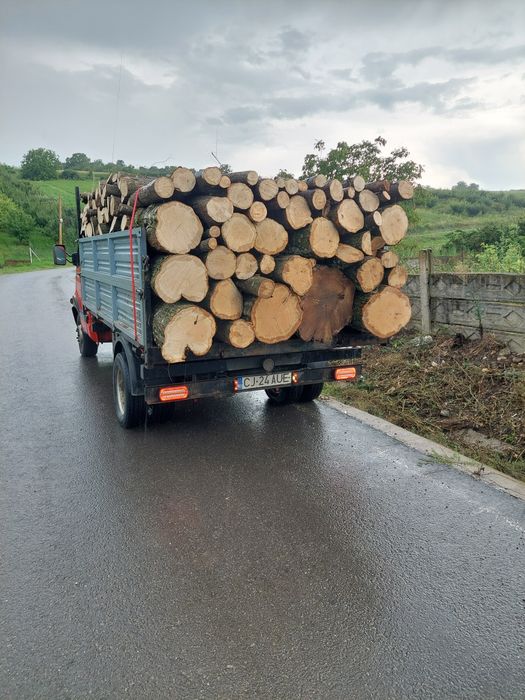 Lemn de foc esență tare