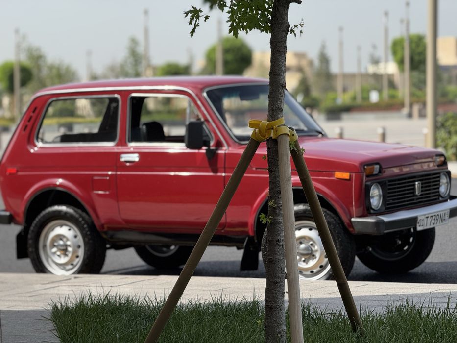 Niva 4x4 radnoy bir qol shot spravka