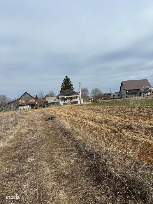 Teren intravilan 3932 MP, Dangaul Mare, zona centrala