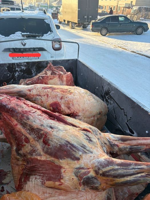 ет-мясо( конина)