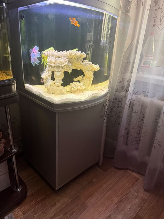 Срочно продам морской аквариум