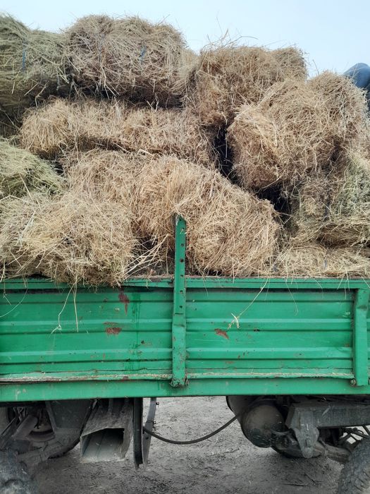 Vând baloți de fân