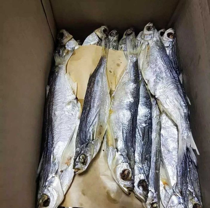 Вяленная вобла,чехонь