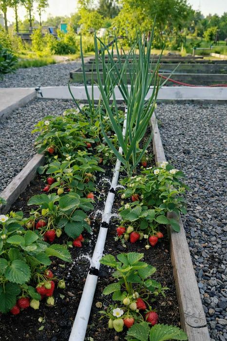 Продам дачу в районе Понтонного моста