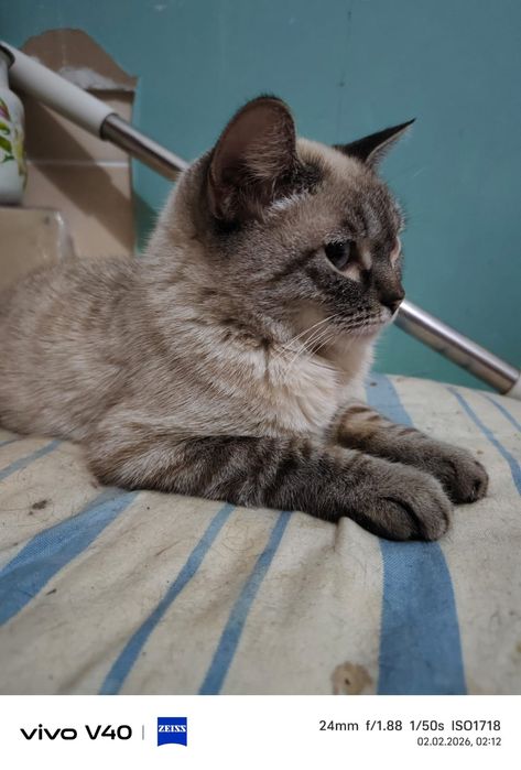 Девочка 5 месяцев