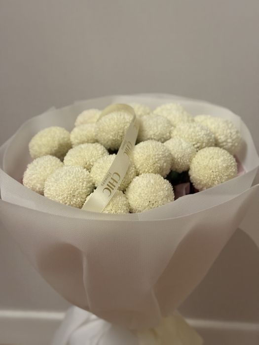 Цветы момоко белые