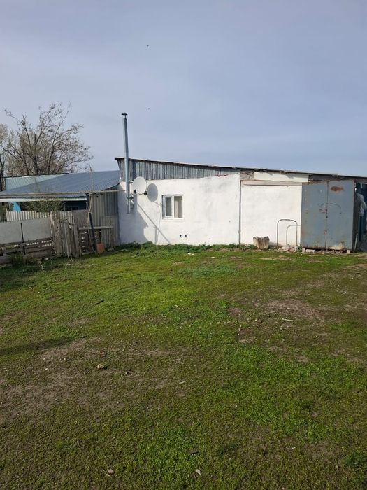 Действующее К/Х 1200гектар