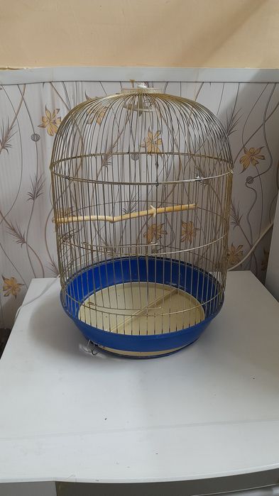 Корелла самец с клеткой