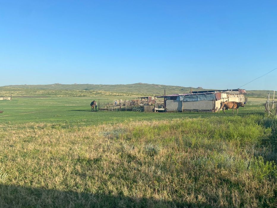 Продам крестьянское хозяйство