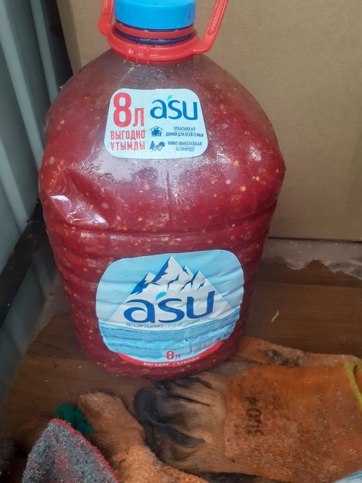 Продам кобра домашнюю