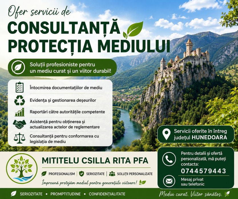 Ofer consultanta
