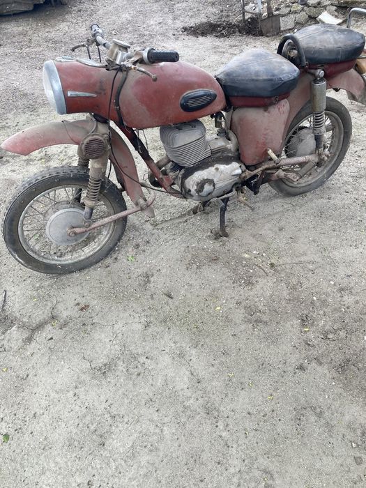 MZ de 2, 5 nepornita de multi ani