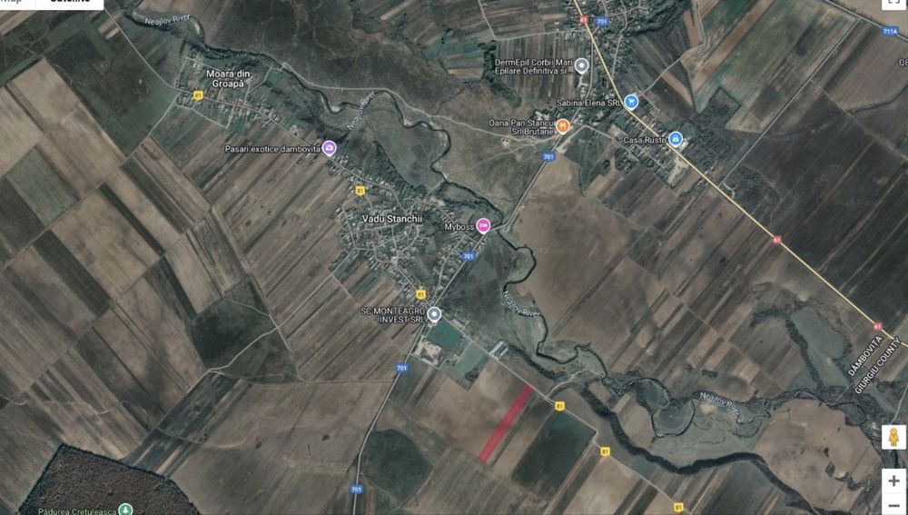 Teren extravilan 66800 m2 , ideal investitii, Corbii Mari Db.