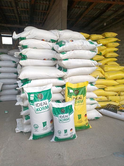 Ideal korm chorva uchun ozuqa