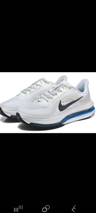 New model Nike Pegasus