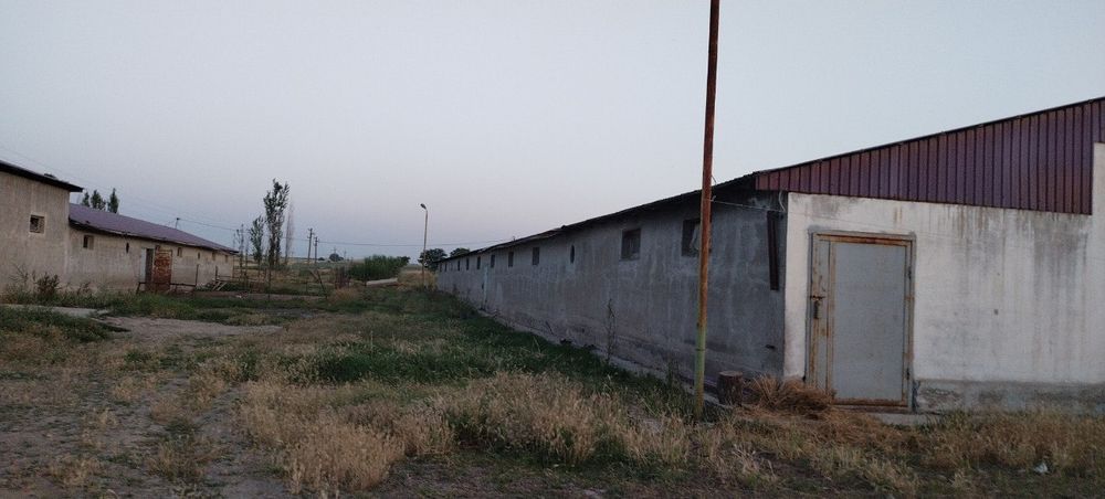 Mol boqishga mo'ljalanga fermer xo'jaligi