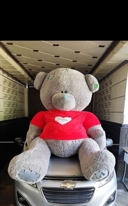 Teddy mishka мишка тедди