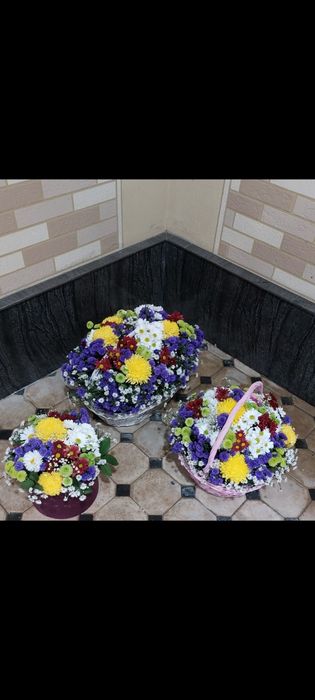 S 150 000.Shikarnie sveti jevoy priemlivie tseni . vozmojen dostavka