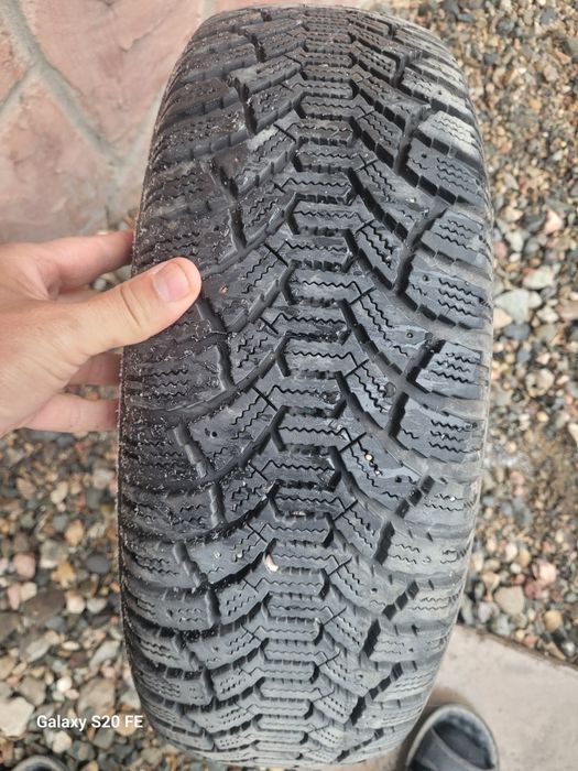 Продам 1 баллон 185/65/14