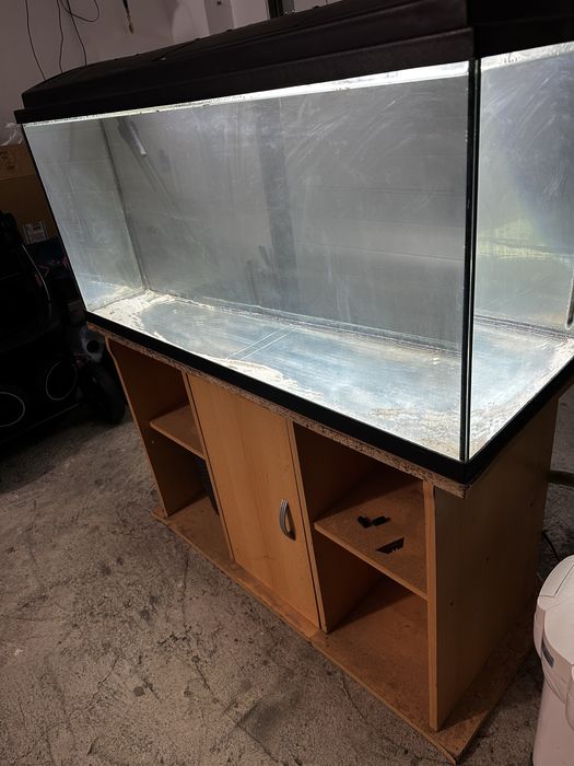 Vand acvariu complet