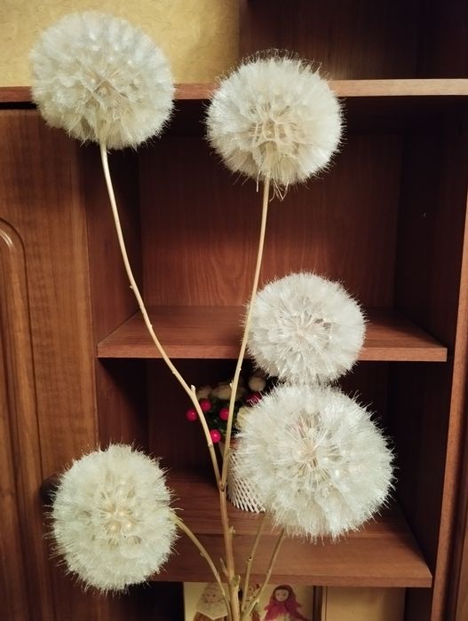 Продам одуванчики