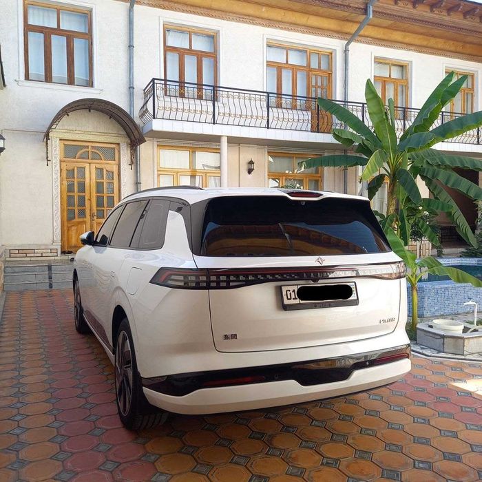 Dongfeng 008 гибрид