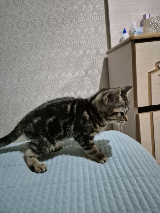 Одам за хороший  руки