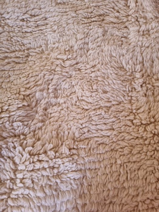 НОВ китеник, 100% вълна