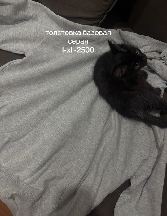 разгрузка вещей