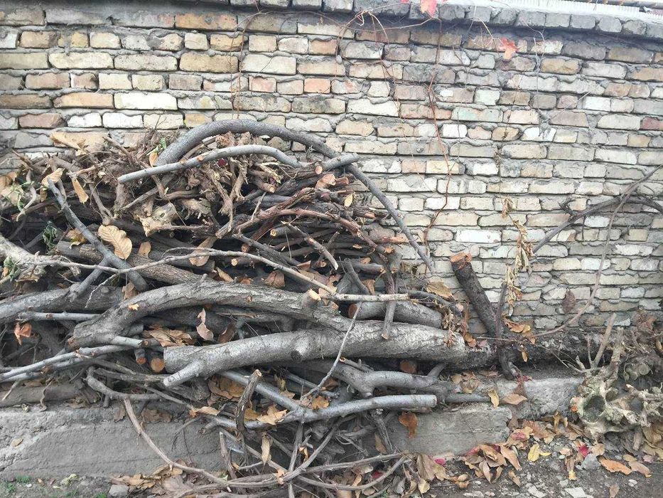 дрова из фруктовых деревьев-черешня,вишня,слива,орех  в объеме 2 куба