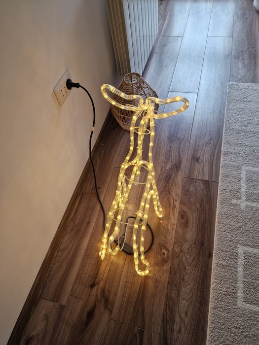 Ren din furtun luminos LED