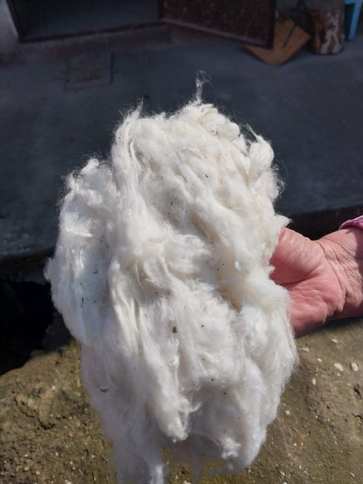 Біраз мақта бар  Тгжде тұр