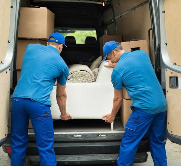 Mutarii Iasi,international!