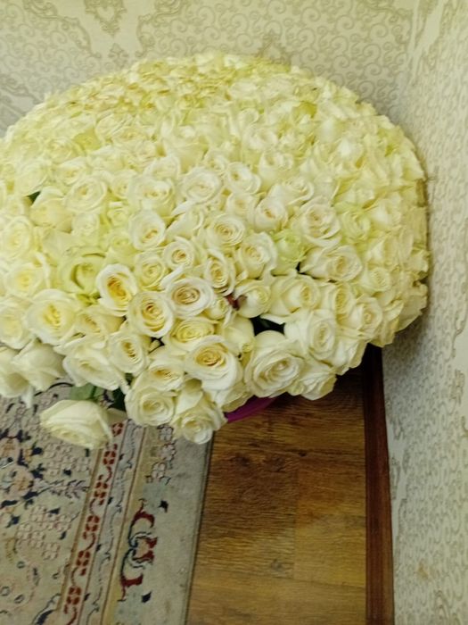 Цветы 301 роза,свежие