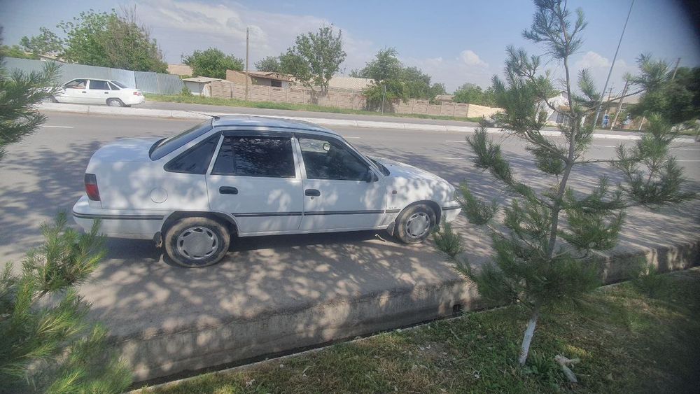 Cherolet nexi 1 sonis