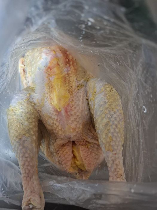 Домашний хуроз товукла заказга тозалаб берамиз