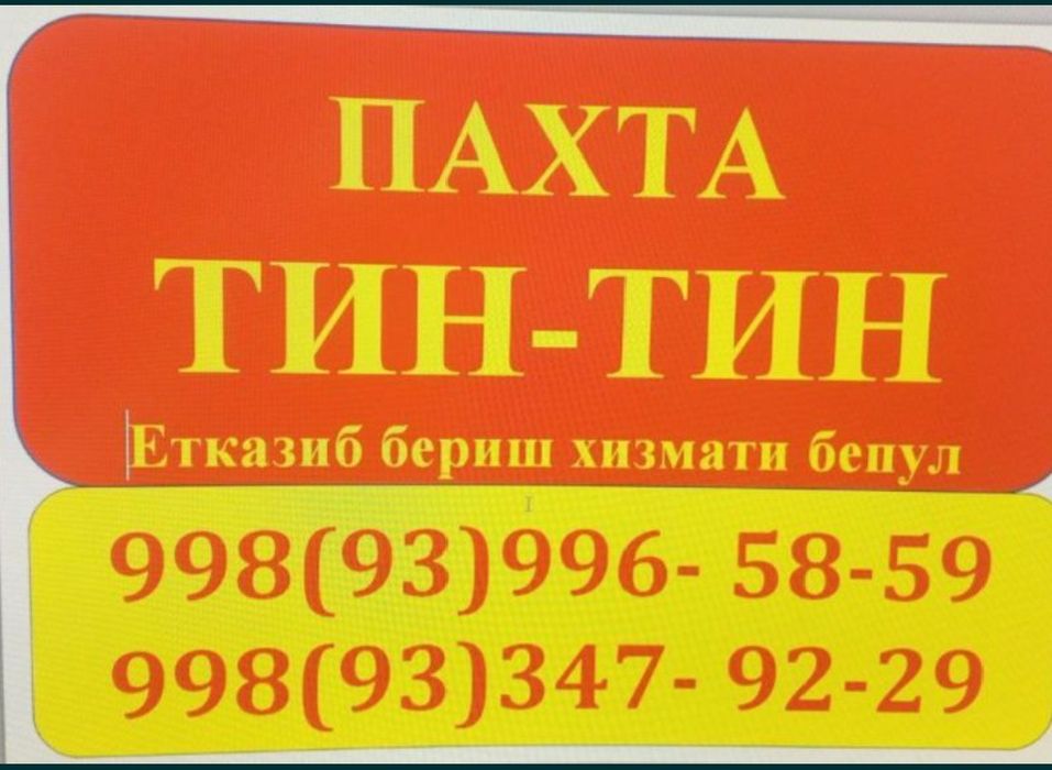 Пахта тин тин хизмати