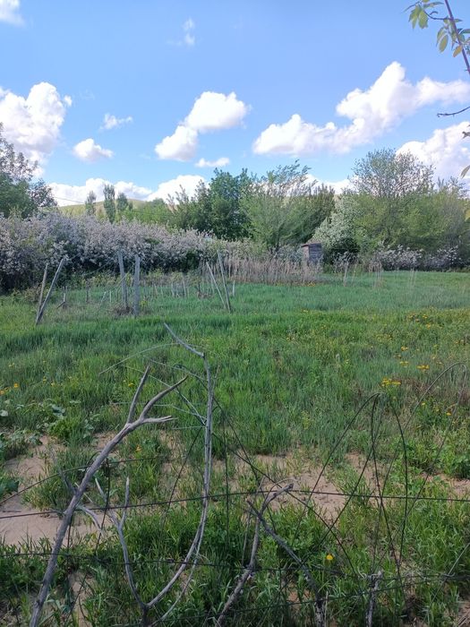 Продам дачу сейсмик 124