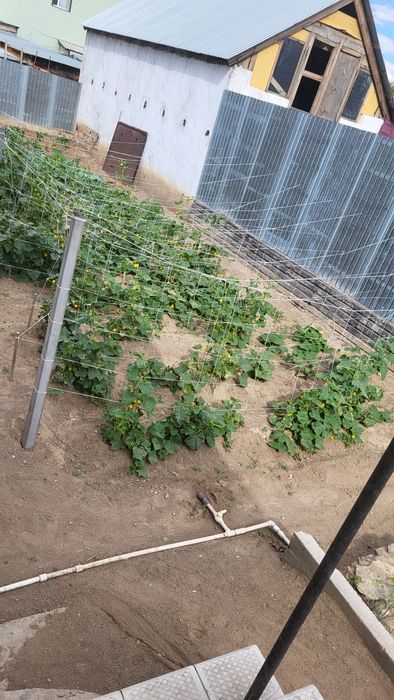 Продам дом на Царском