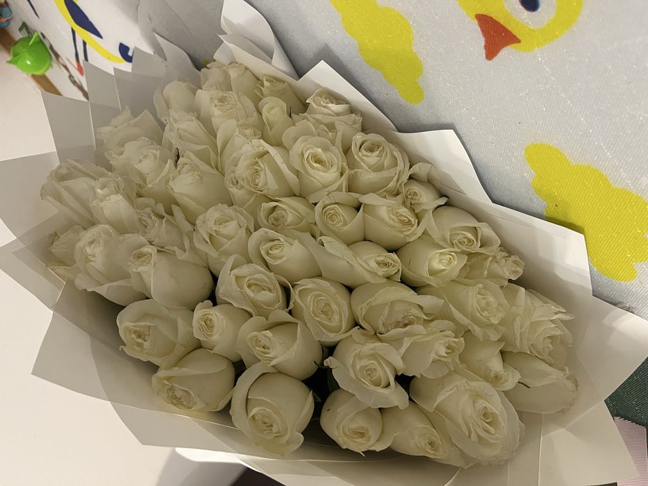 Цветы 51 роза свежий тұр туған күнге келген