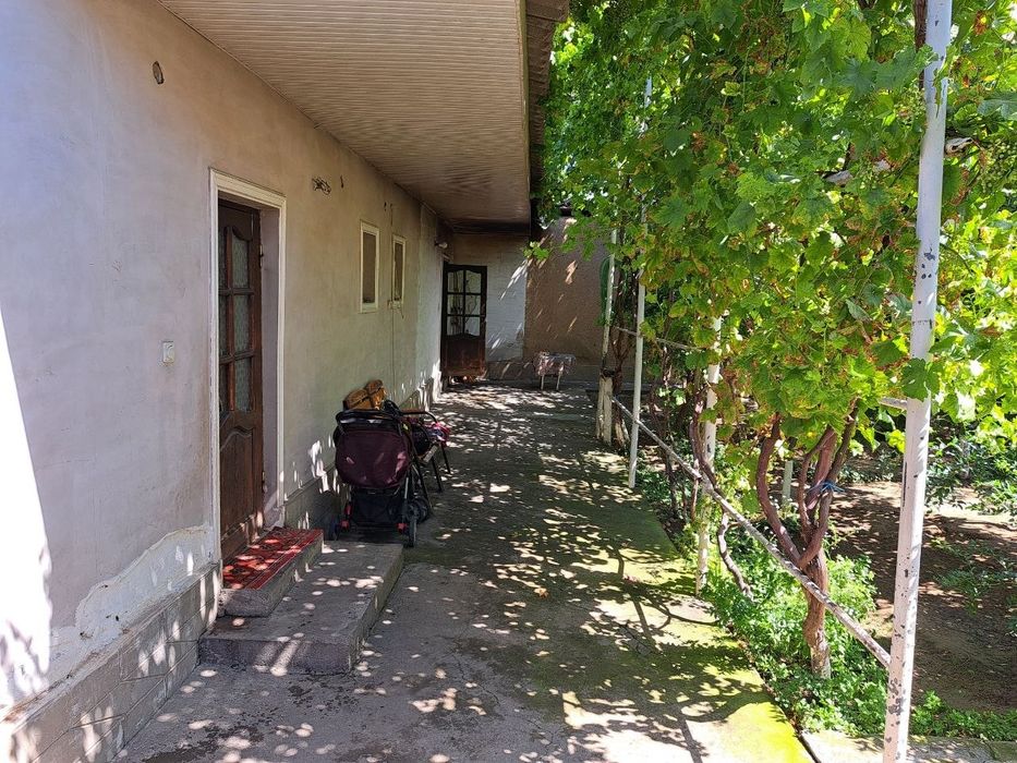 Shoshilinch! Samarqand Darvoza | Abdulla Qodiriy muzeyi yonida