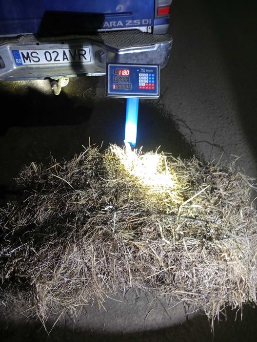 De vânzare baloți dreptunghiulari făcuți din fan