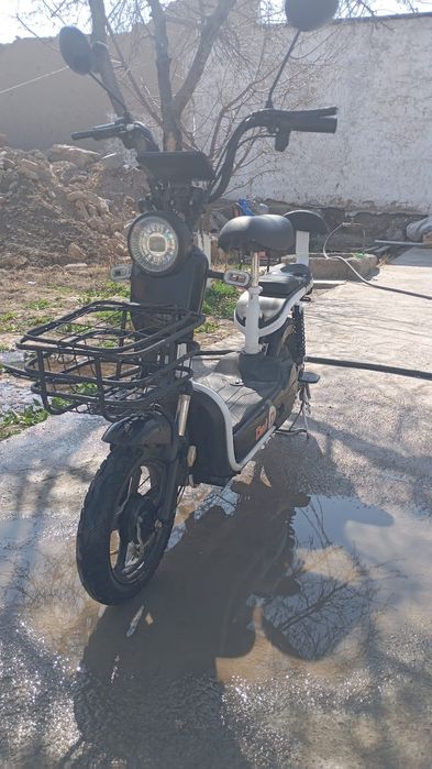 Электронный Велик