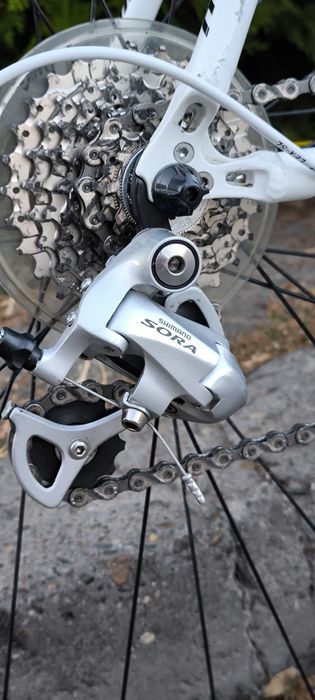 Cursiera Merida Race Lite