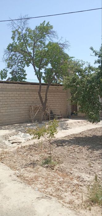 Ховли сотилади ! Продается дом!