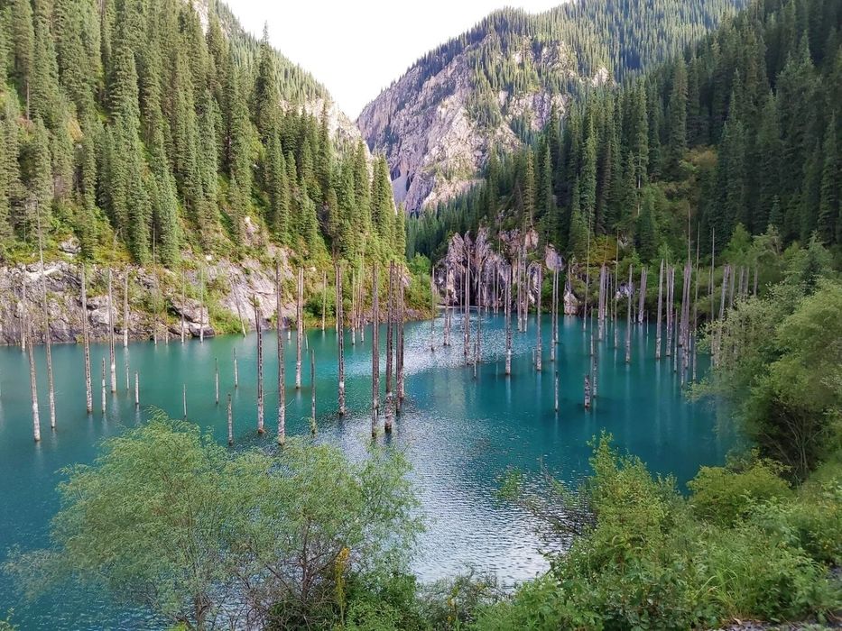 Туристический рыболовный трансфер