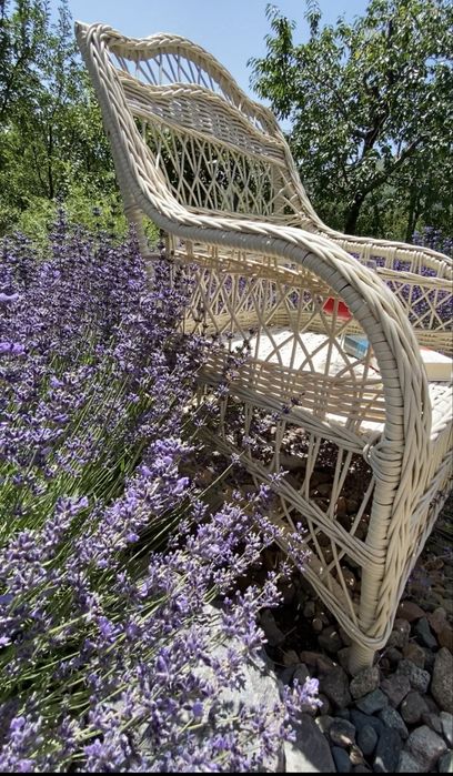 Продам Лаванду садовую