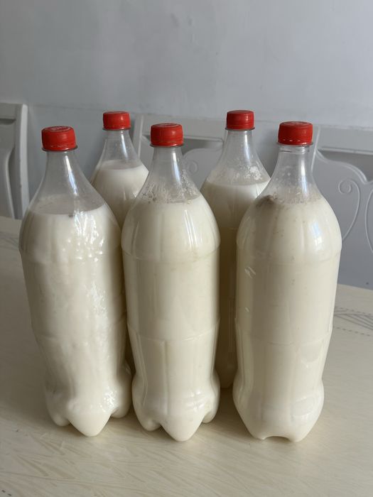 Продаеться  кумыс